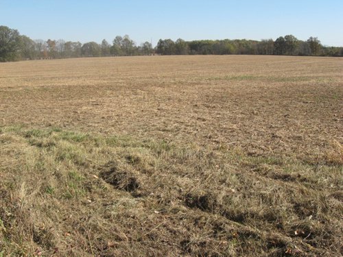 Property photo 46 - 110+/- Acres offered in 4 Tillable Tracts